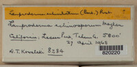 Image Associated With the Occurence